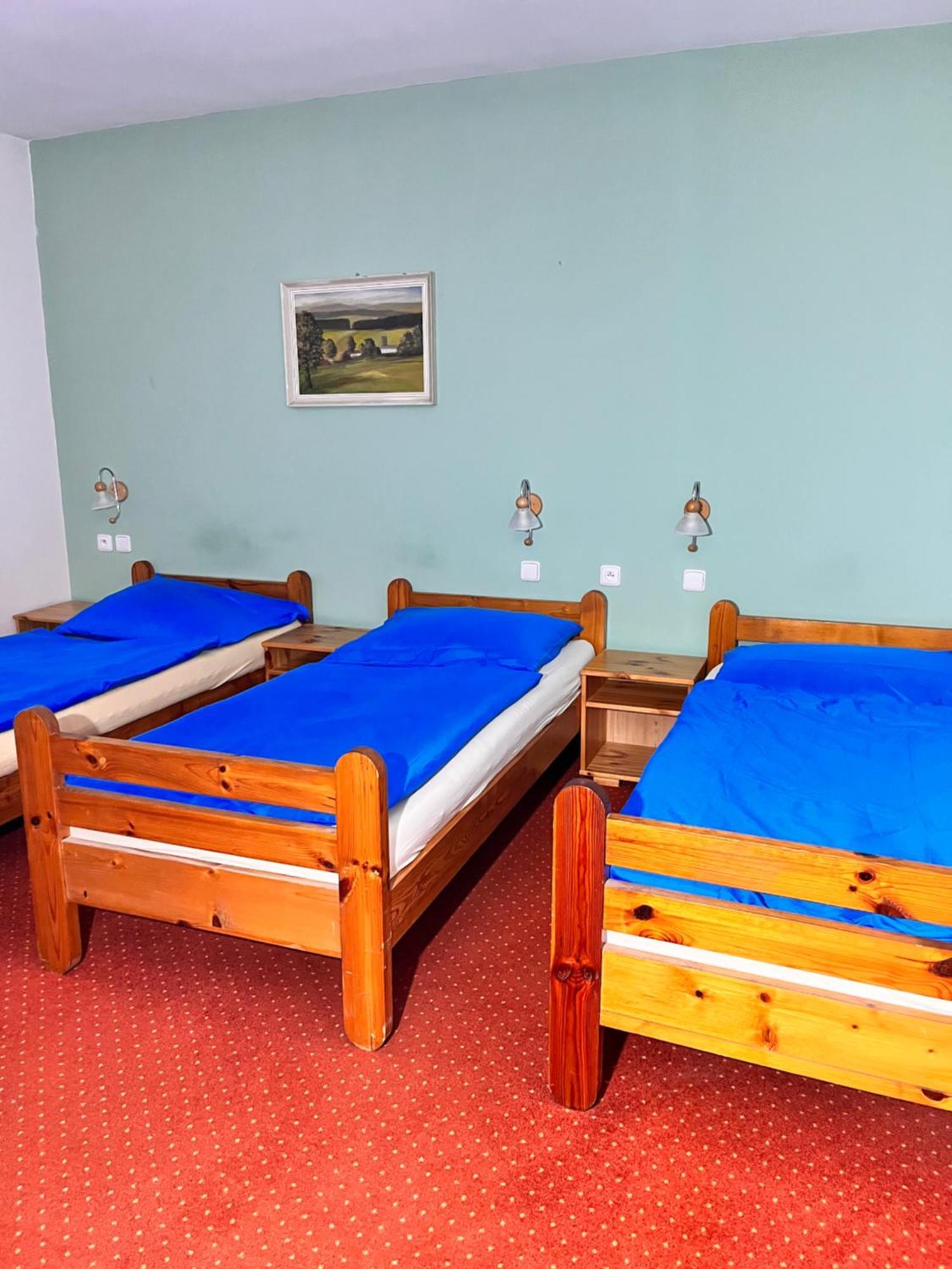 Vila Morava Hotel Liptovsky Mikulas Exterior photo