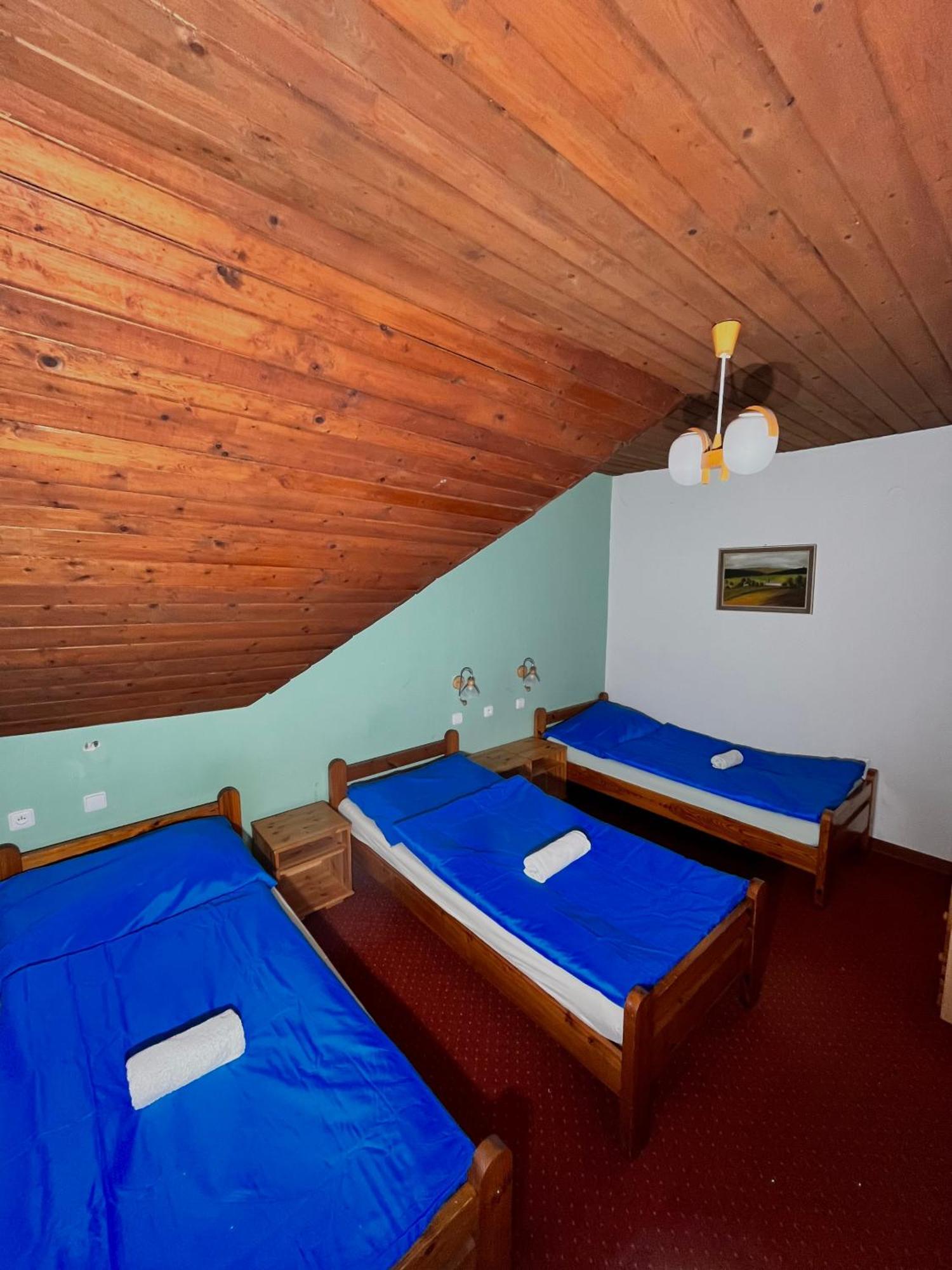 Vila Morava Hotel Liptovsky Mikulas Exterior photo